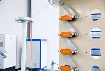 ELECGENE Comprehensive Testing